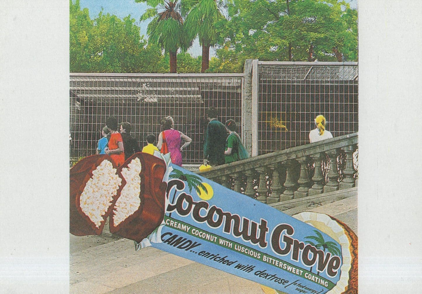 Coconut Chocolate Bar Spanish Zoo Advertising Postcard