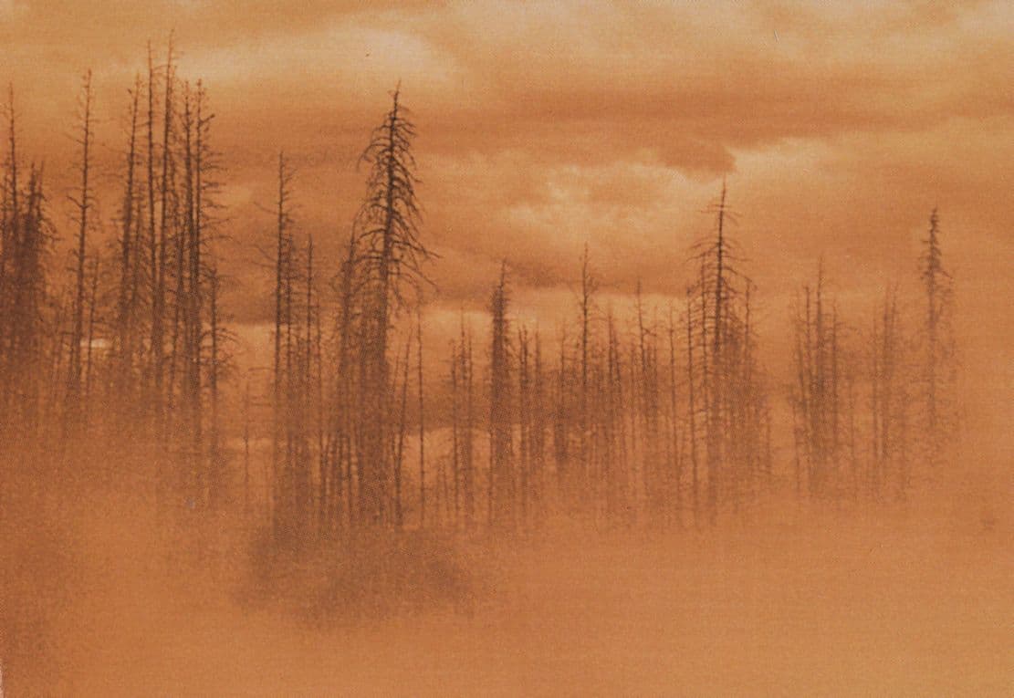 Cold Mountain Charles Frazier Book Launch Advertising Postcard