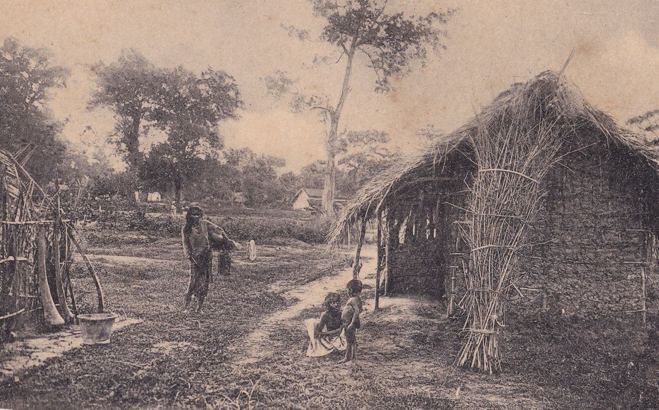 Colombo Sri Lanka Straw House Old Postcard