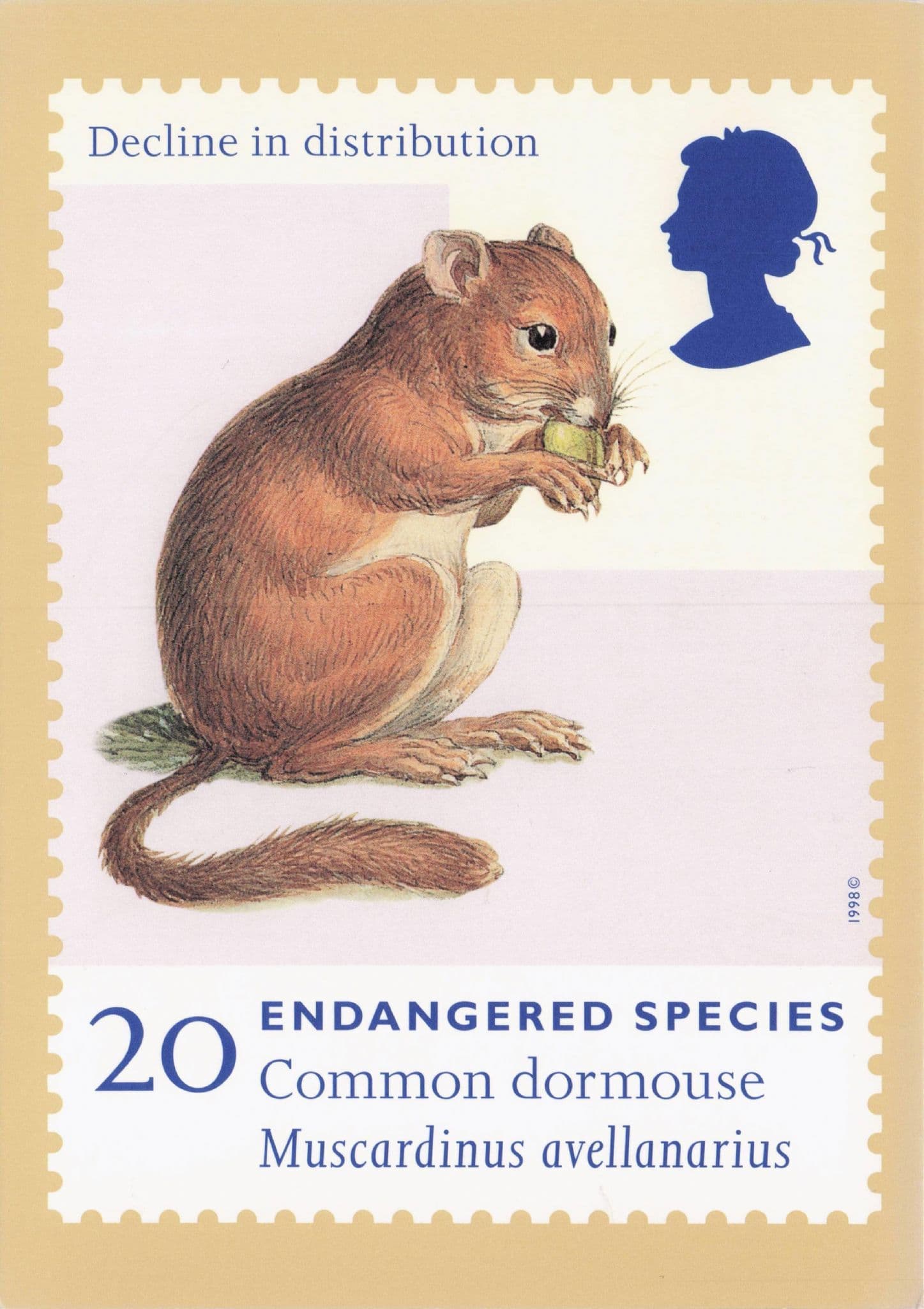 Common Dormouse Endangered Species FDC Postcard