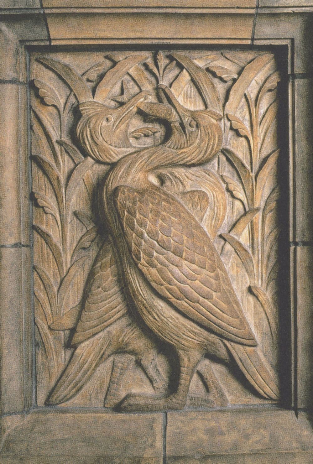 Cormorants Terracotta Panel Birds Natural History Museum Postcard