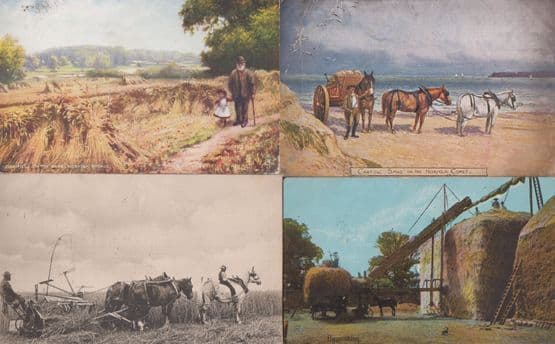 Cornfield on the Bure Norfolk Broads Carting Sand On The Coast 4x Postcard s