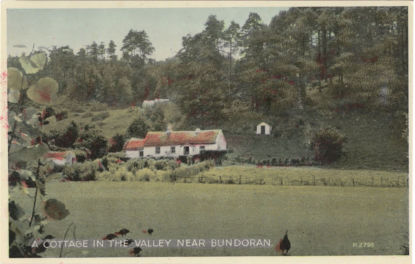 Cottage at Bundoran Valley County Donegal Old Irish Postcard