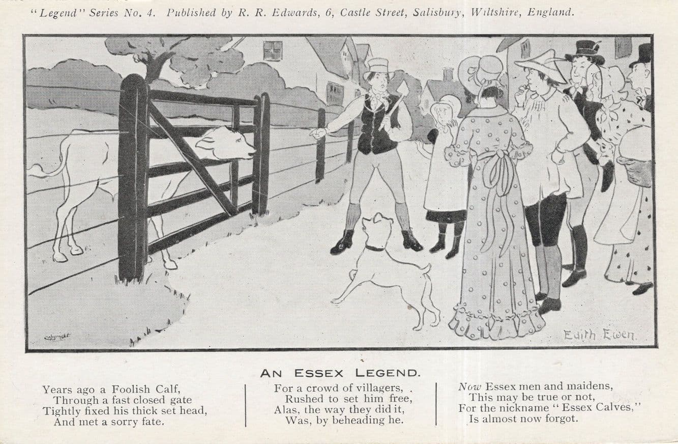 Cow Beheaded Stuck In Farm Gate Essex Disaster Postcard