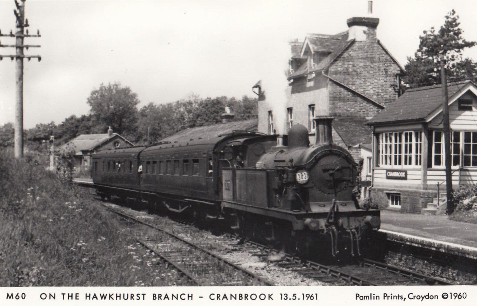 Cranbrook Train Hawkhurst Branch Station Kent Real Photo Postcard