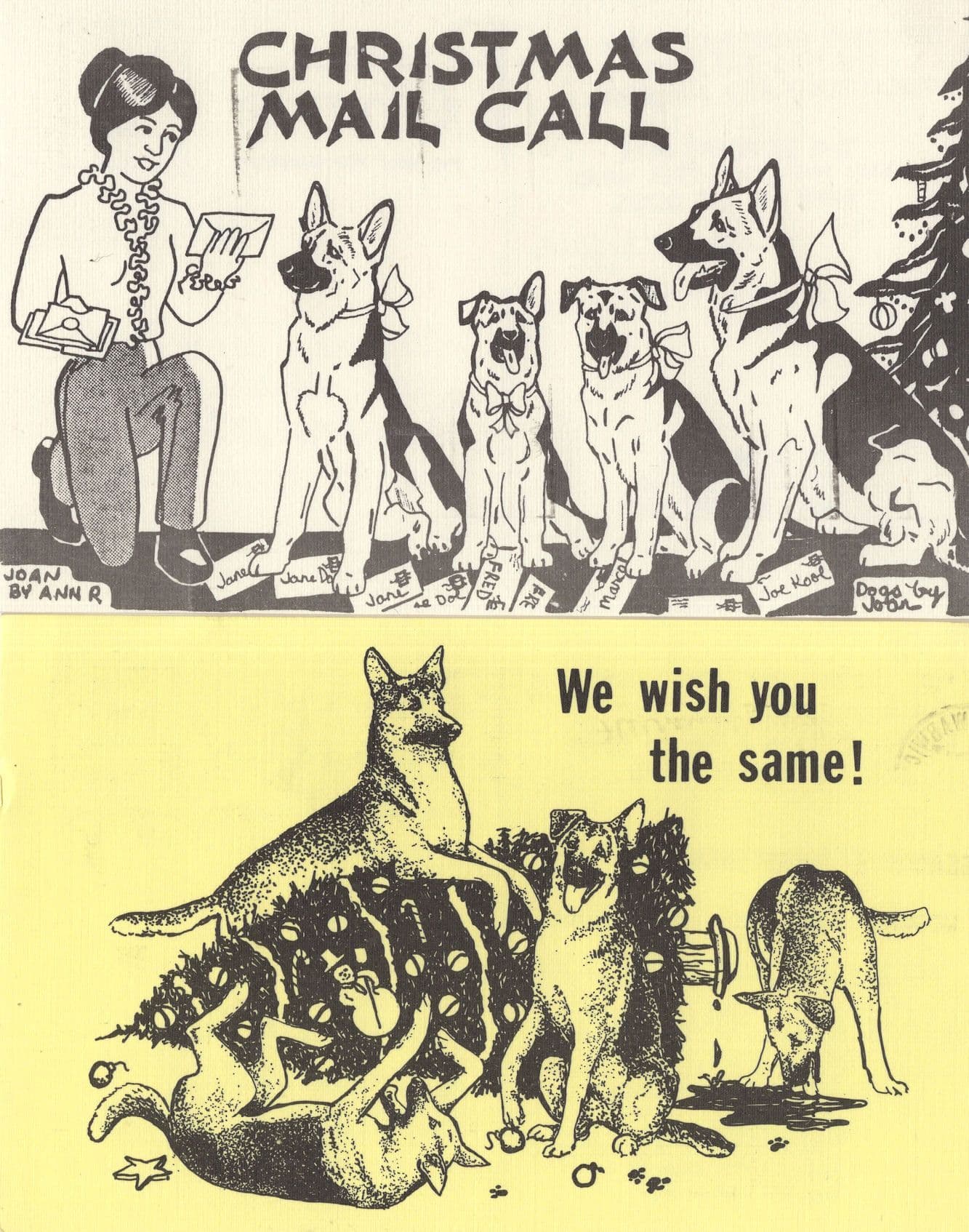 Crazy Animal Dog Collector Kent WA USA Hand Signed 2x Postcard s