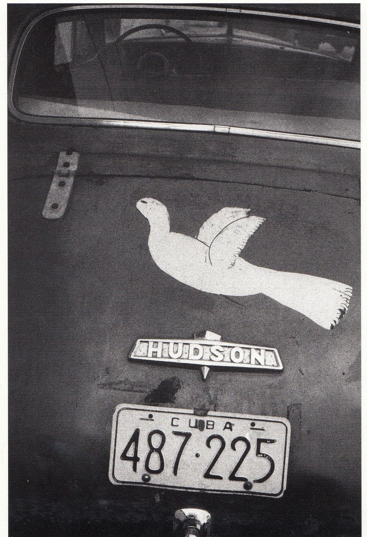 Cuba Cuban Classic Car Matanzas Hudson Bird Photo Postcard