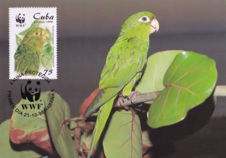 Cuban Parakeet Psittacidae Caribbean Parrot Bird Stamp WWF FDC Postcard