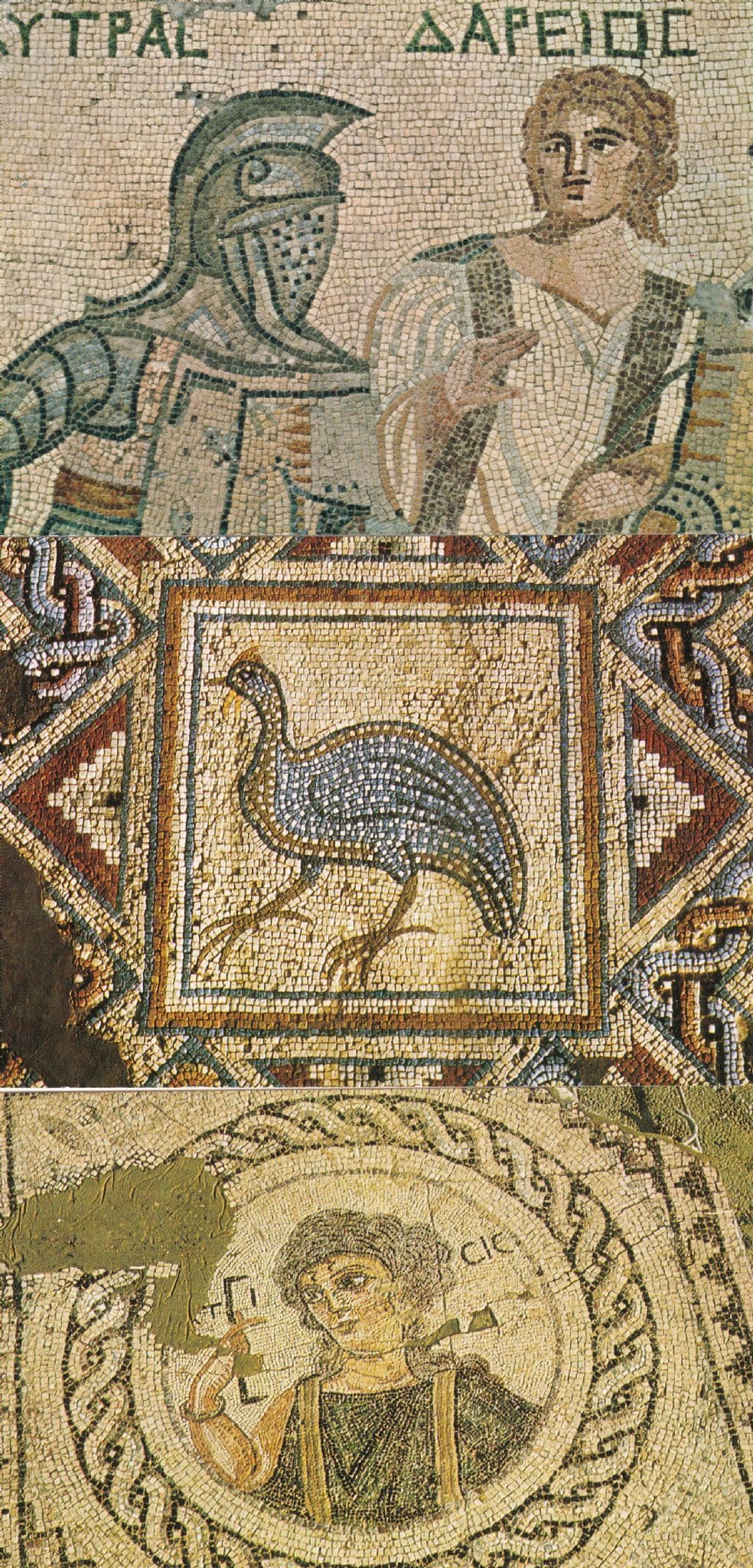 Curium Cyprus Greek Mosaics Floor Knights 3x Postcard s