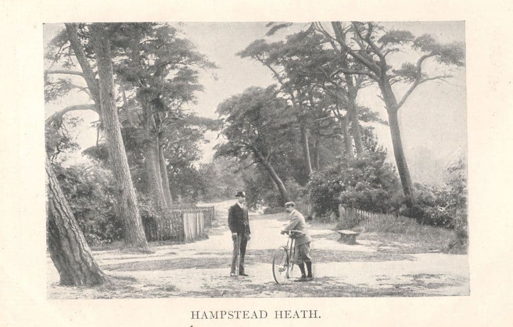 Cyclist Bicycle Hampstead Heath London Antique Idle Moments Old Postcard