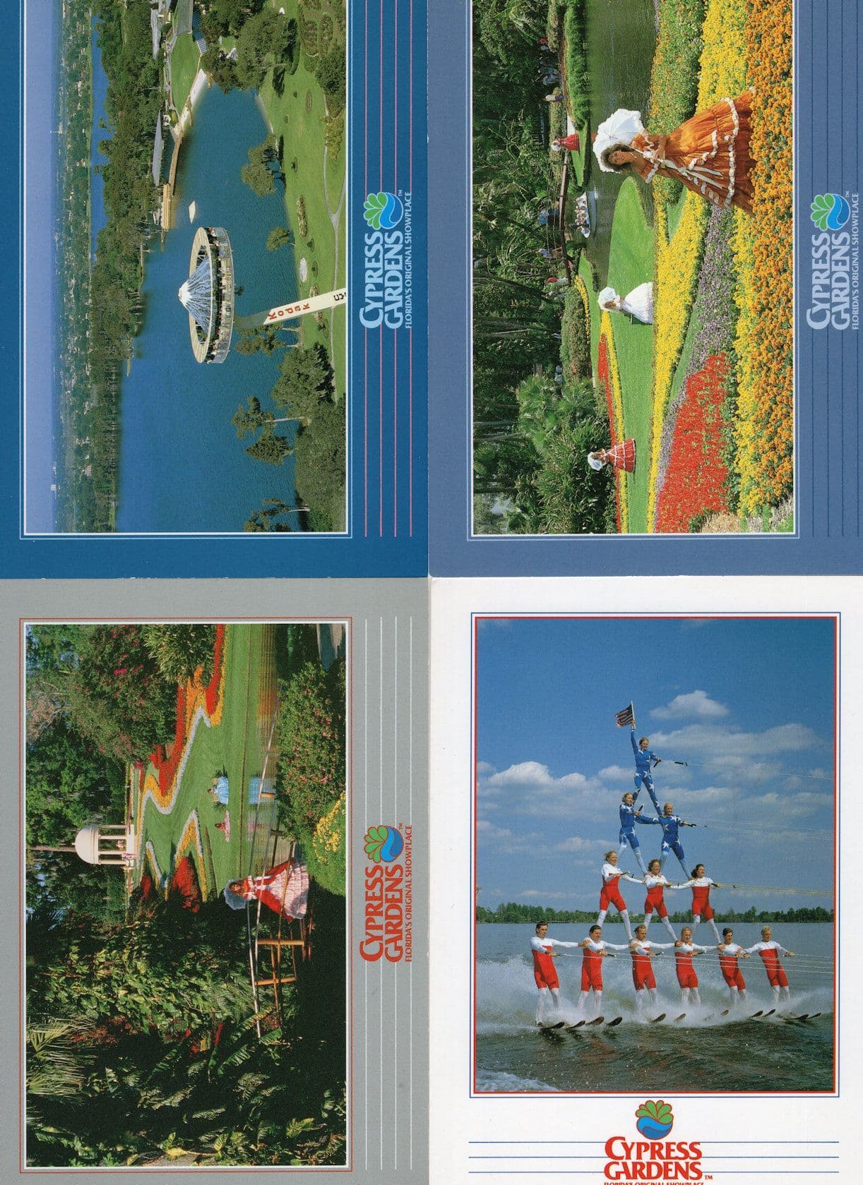 Cypress Gardens Human Pyramid Florida Water Show 4x USA Postcard s
