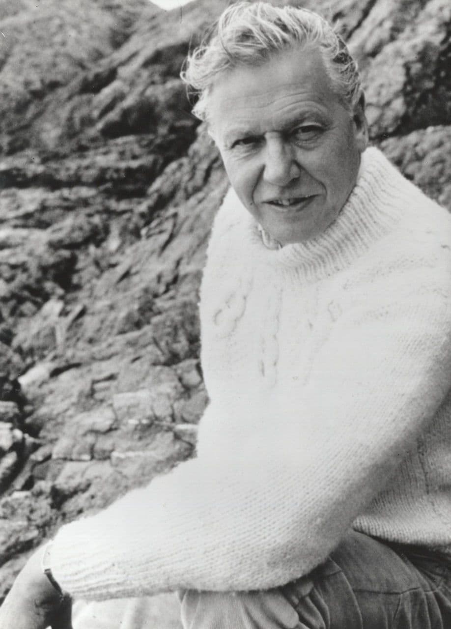 David Attenborough School Grounds BT Campaign Vintage Press Photo