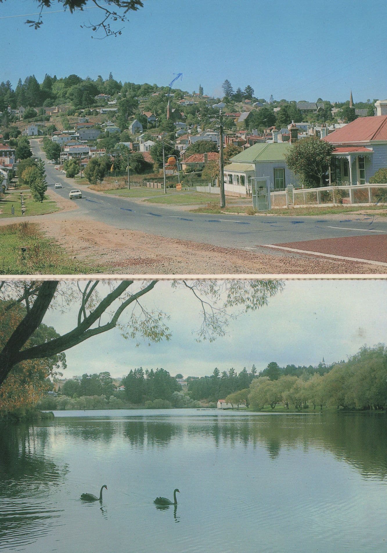 Daylesford Jubilee Lake River Birds Australia Postcard