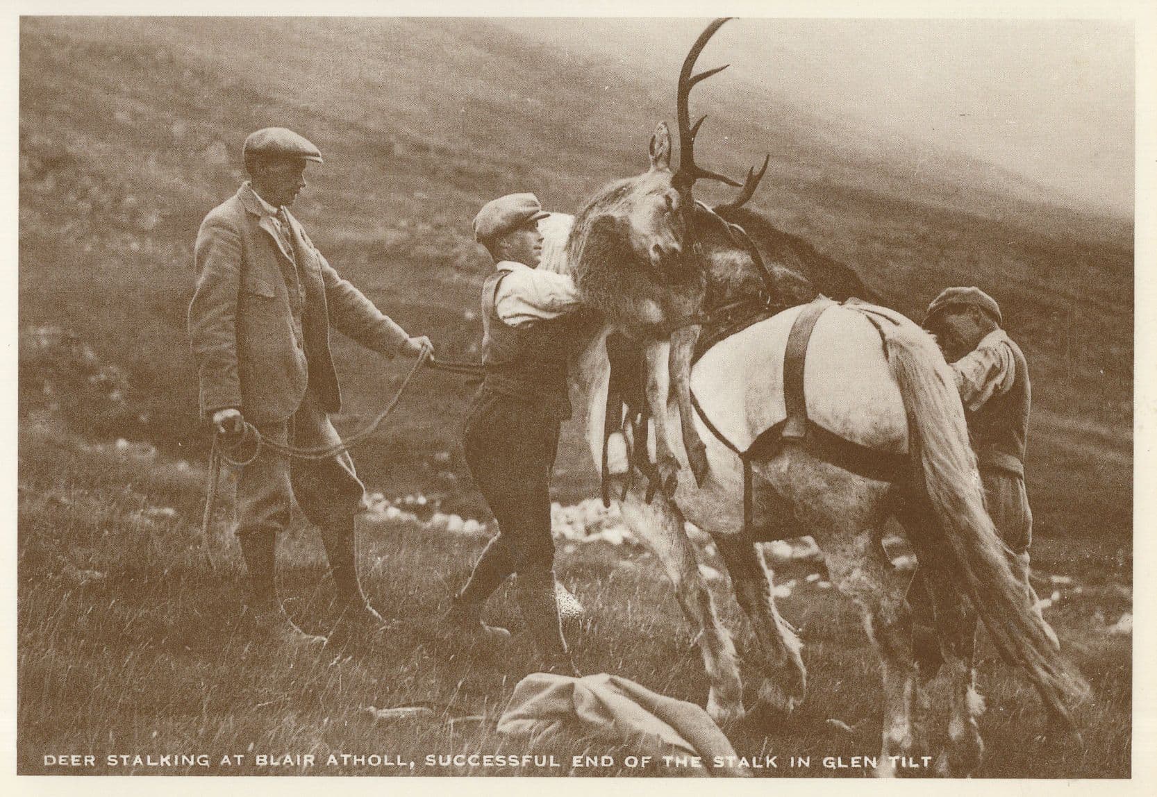 Deer Stalking At Blair Atholl Animal Hunting Rare Postcard