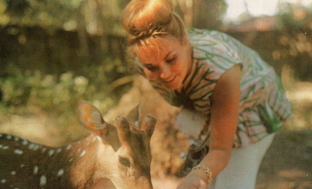 Dehiwala Zoo Deer Hamilton Wright Organization Postcard