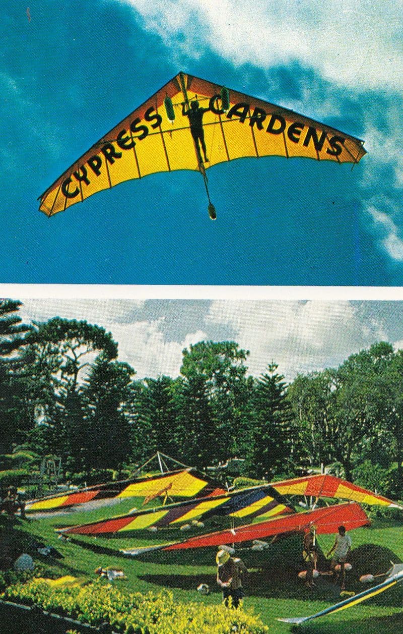 Delta Wing Kite American Postcard