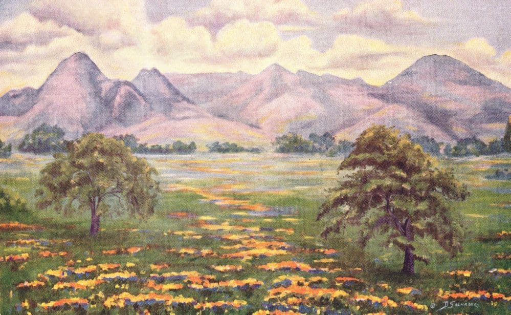 Delzie Sackrider Meadow In Bloom Antique Painting Postcard