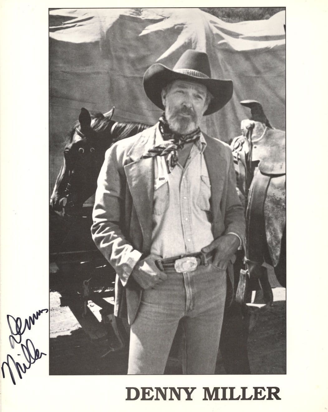 Denny Miller Wagon Train Cowboy Tarzan 10x8 Hand Signed Photo