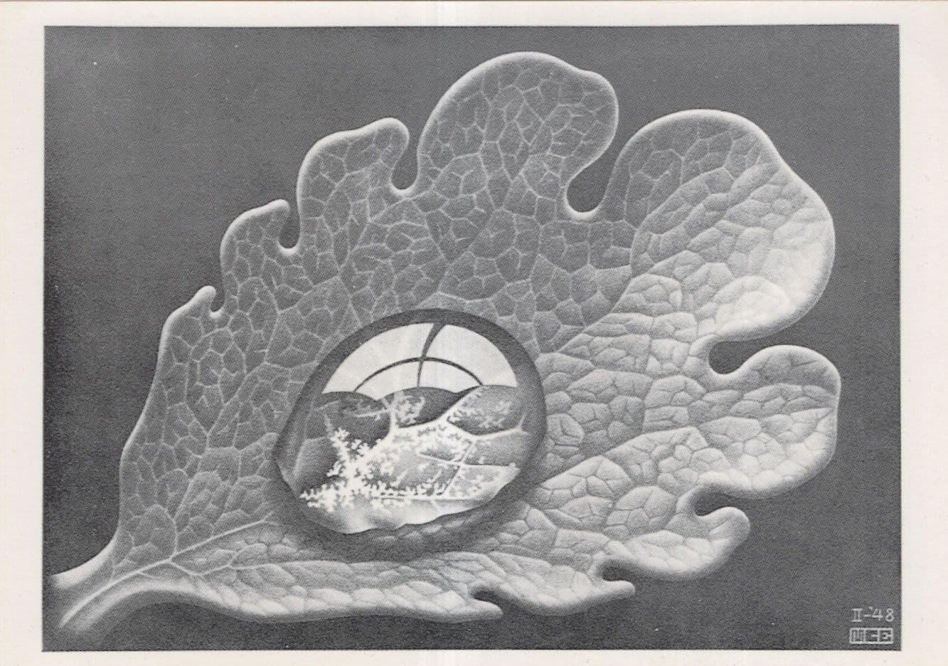 Dewdrop MC Escher Dutch Artist Painting Postcard