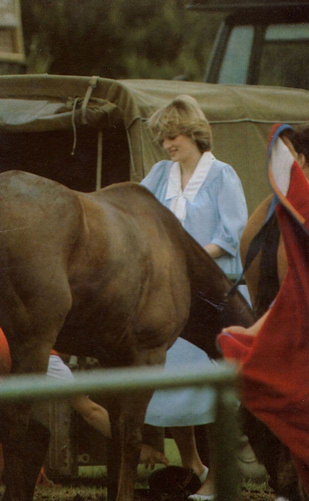 Diana Playing With Bashful Horse 1982 Royal Family Postcard