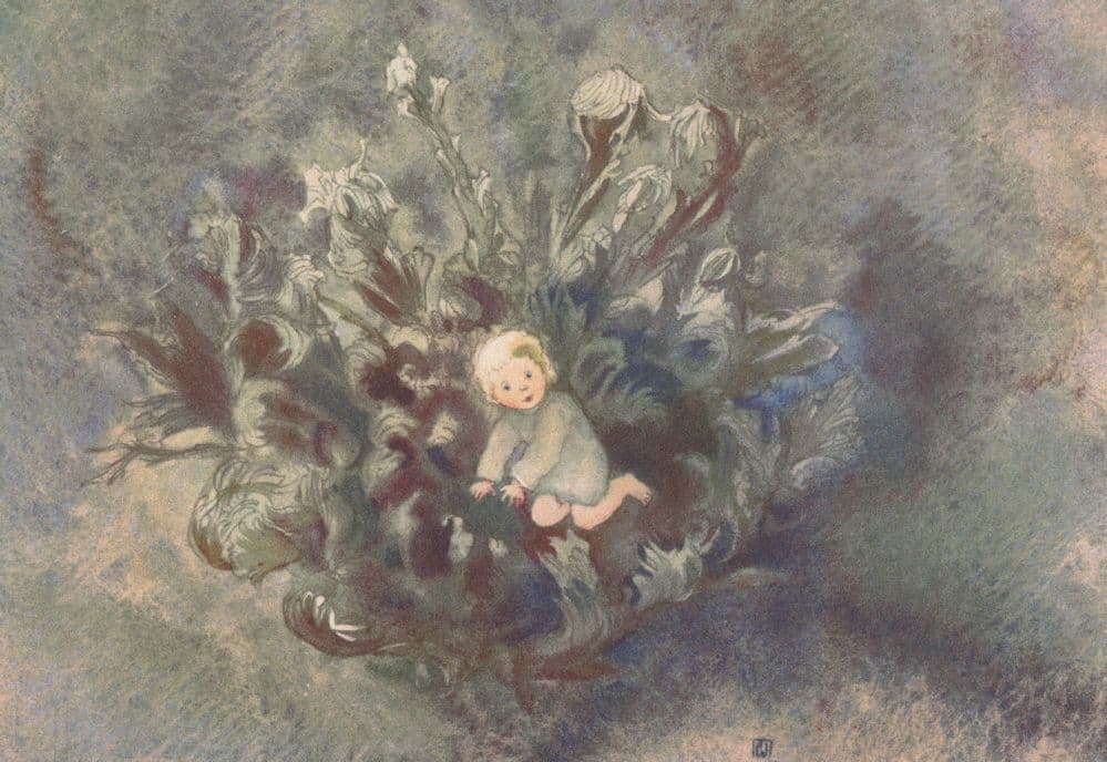 Die Rose Von Jericho German Painting Vintage Postcard