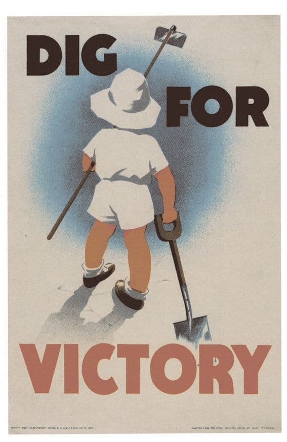 Dig For Victory Ministry Of Food Military WW2 Poster Postcard