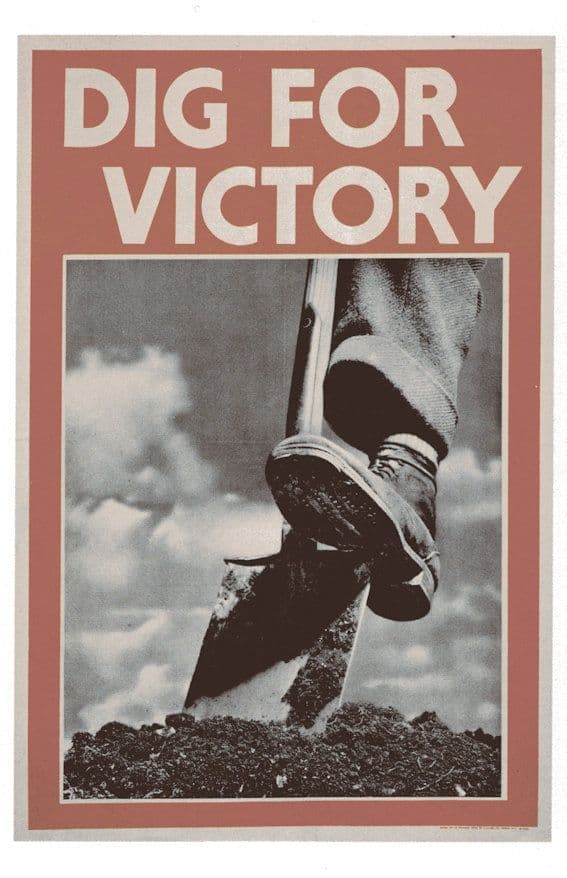 Dig For Victory WW2 Garden Spade Vegetables War Poster Postcard