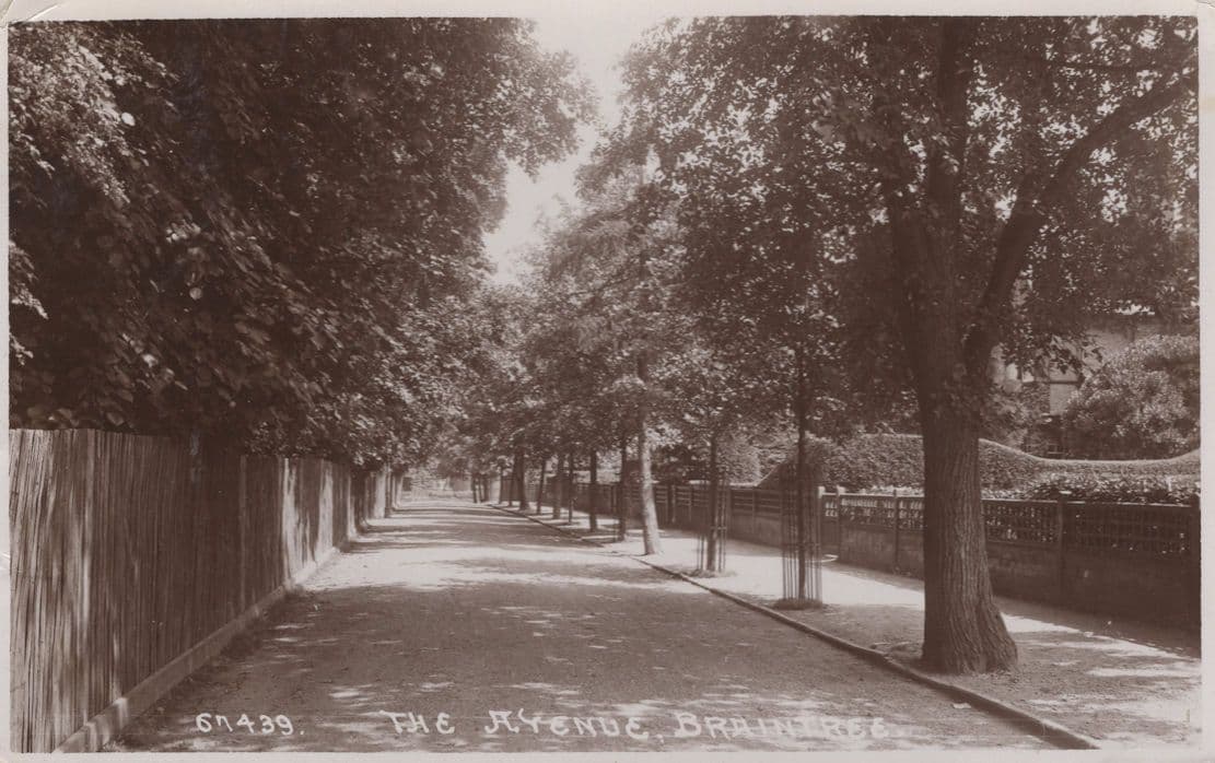 Digging Military Trenches in The Avenue Braintree WW1 RPC Postcard