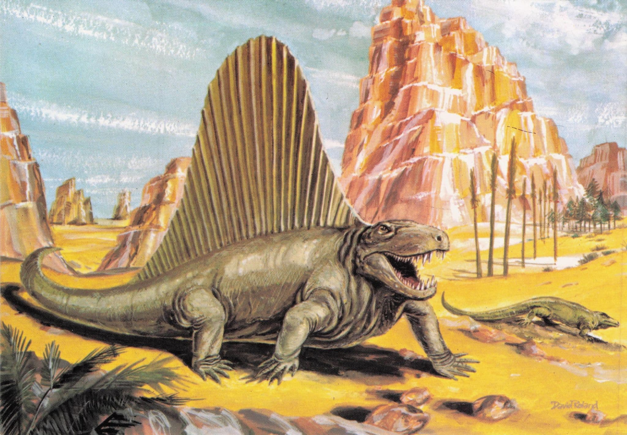 Dimetrodon Dinosaur Rare Prehistoric Painting Postcard
