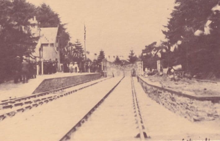 Dinas Mawddwy Railway Station Welsh Reopening Celebrations Postcard