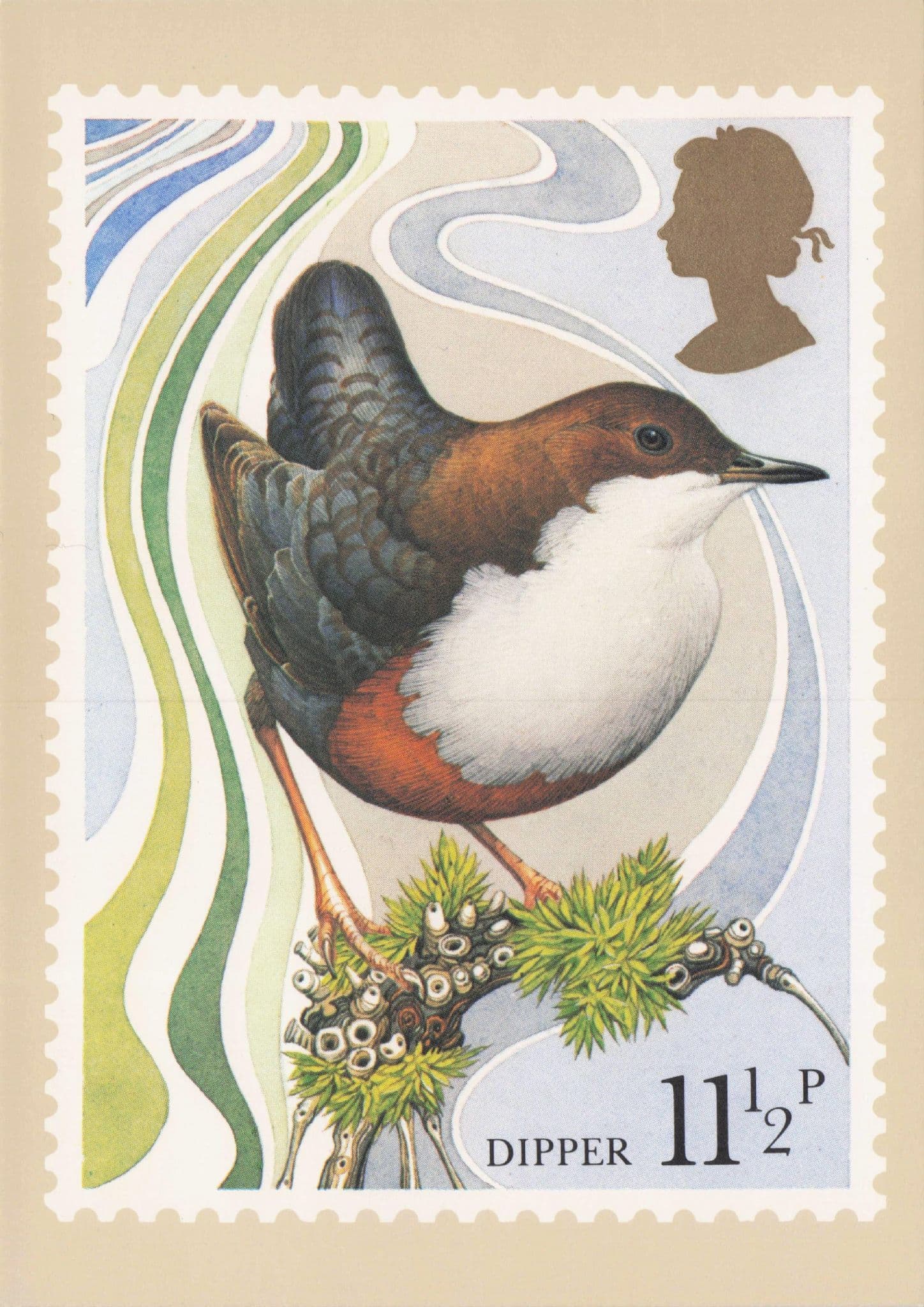 Dipper Wren Garden Bird Painting First Day Cover Stamp Postcard