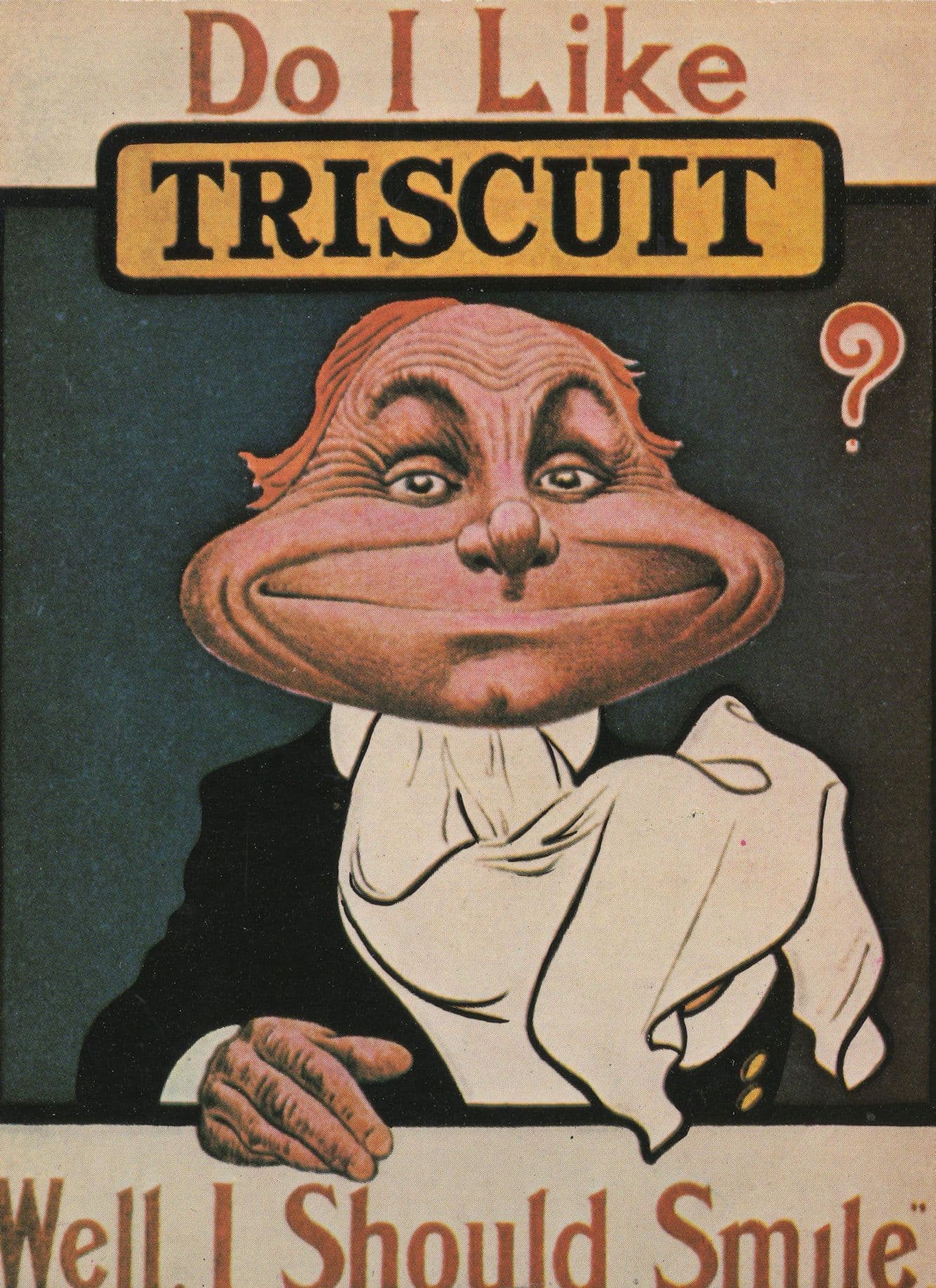 Do I Like Triscuit Well I Should Smile Biscuit Old Poster Postcard