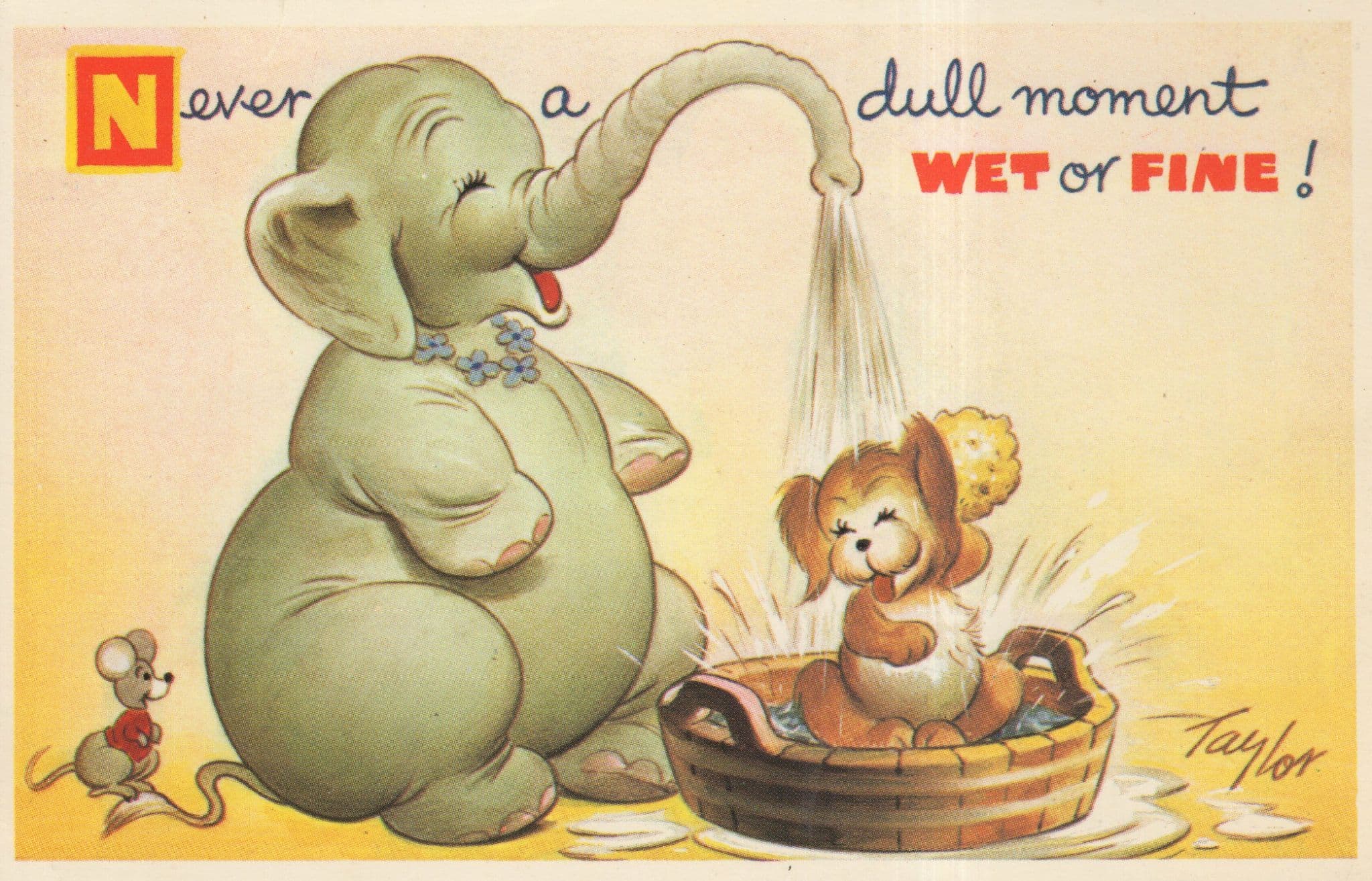 Dog Bath With Elephant Bamforth Comic Greetings Postcard