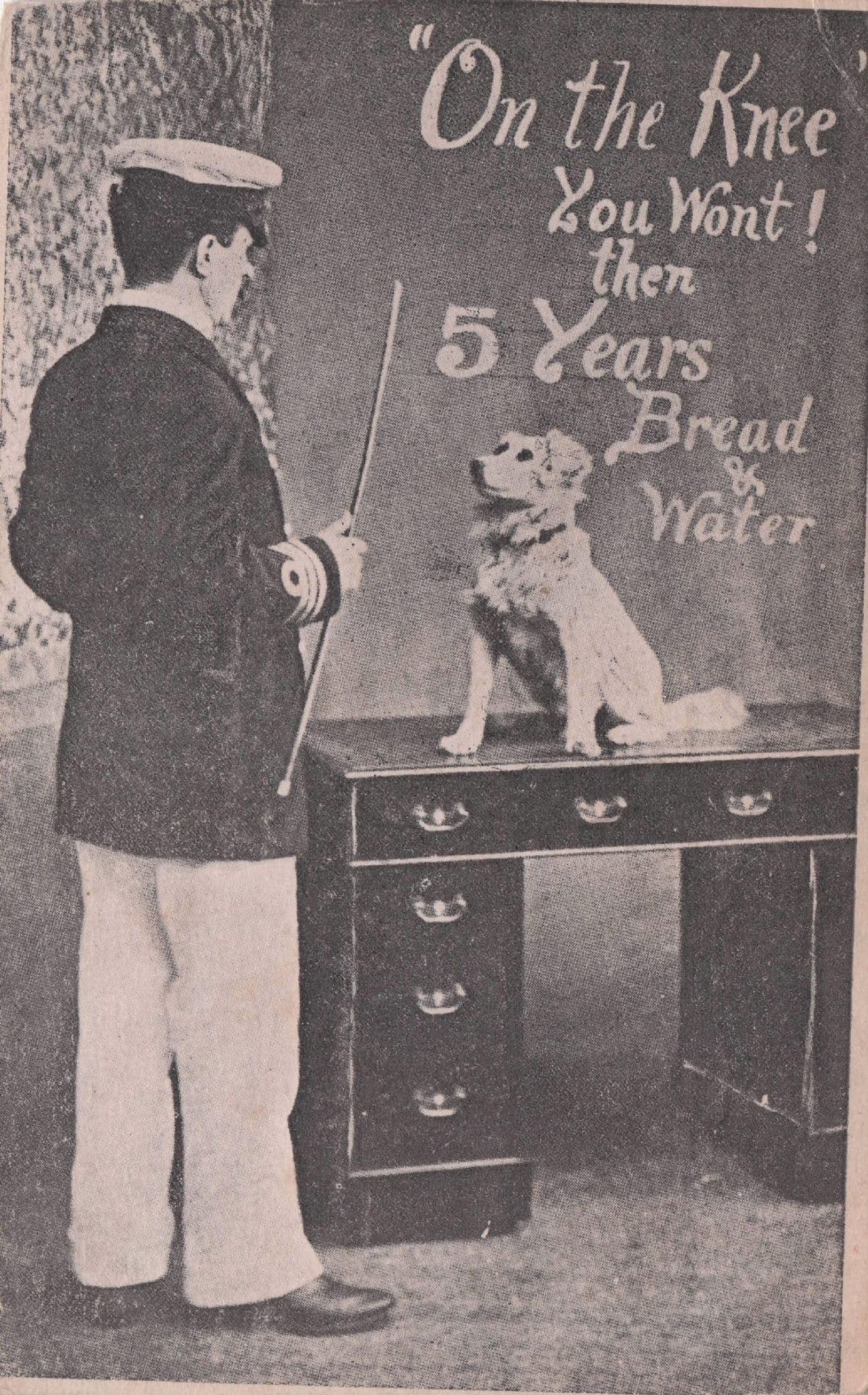 Dog Circus Military Animal Trainer Old Comic Postcard