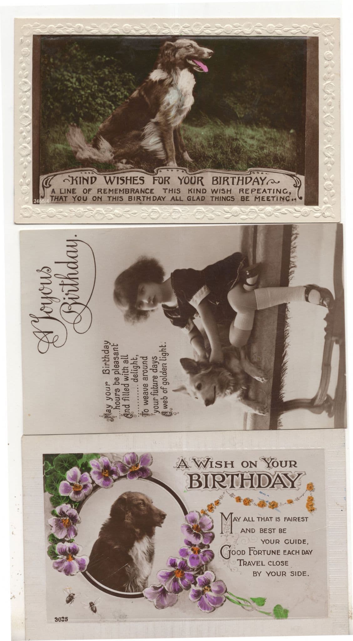 Dog Dogs 3x Old Real Photo Birthday Greetings Postcard s