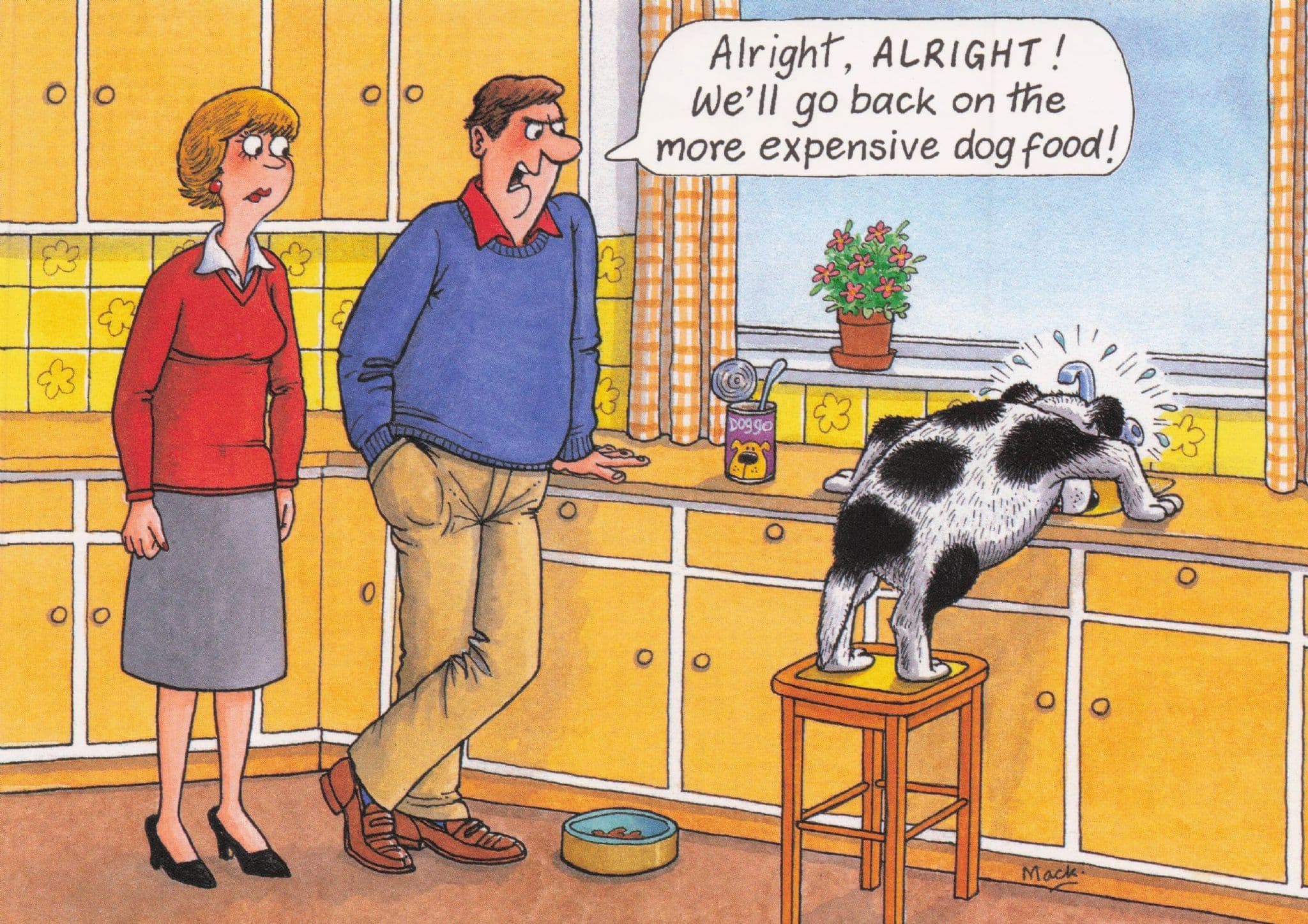 Dog Food Cheapskate Owner Sick Kitchen Sink Dogs Comic Postcard