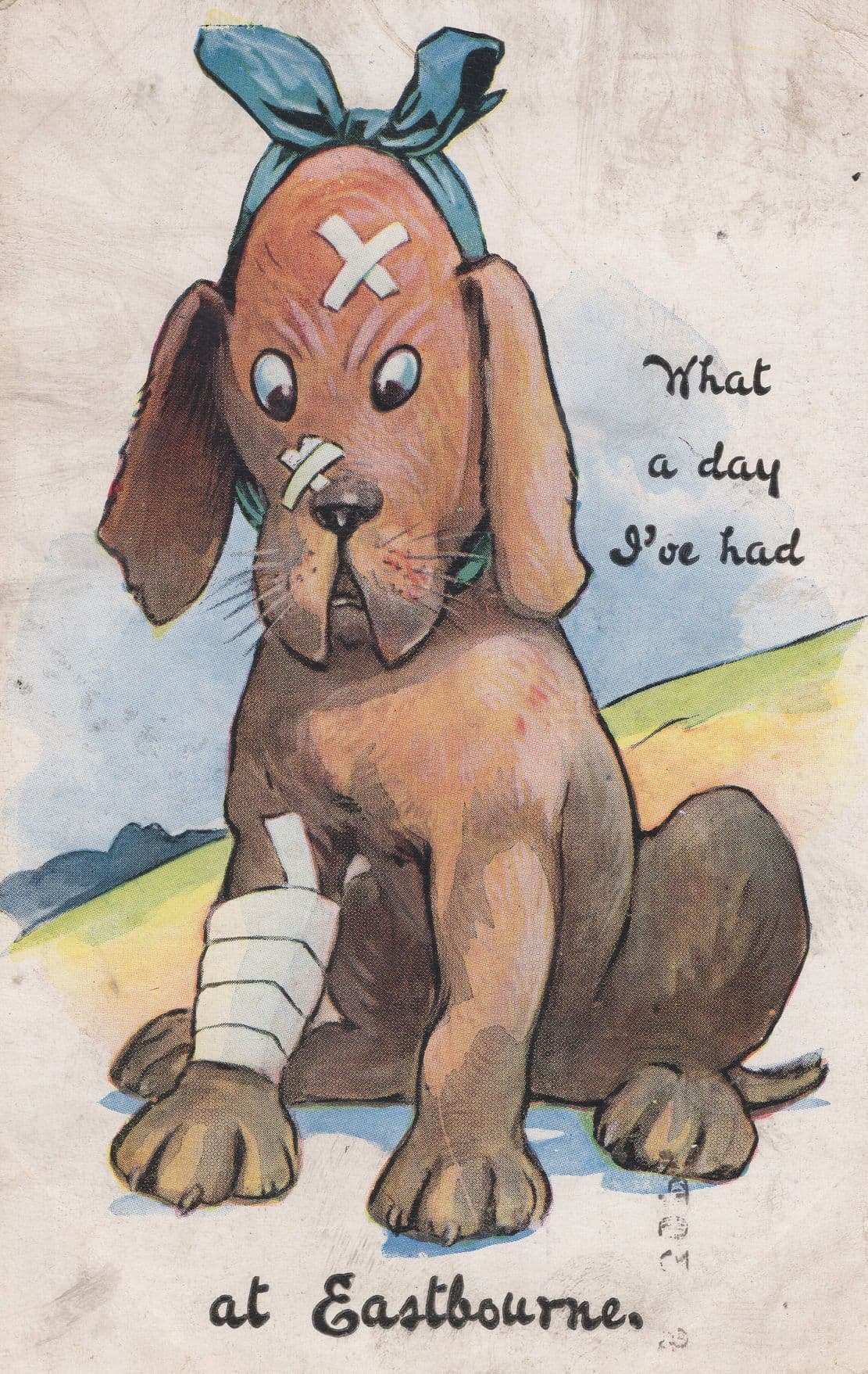 Dog & Hospital Bandages Plaster At Eastbourne Sussex Old Comic Postcard