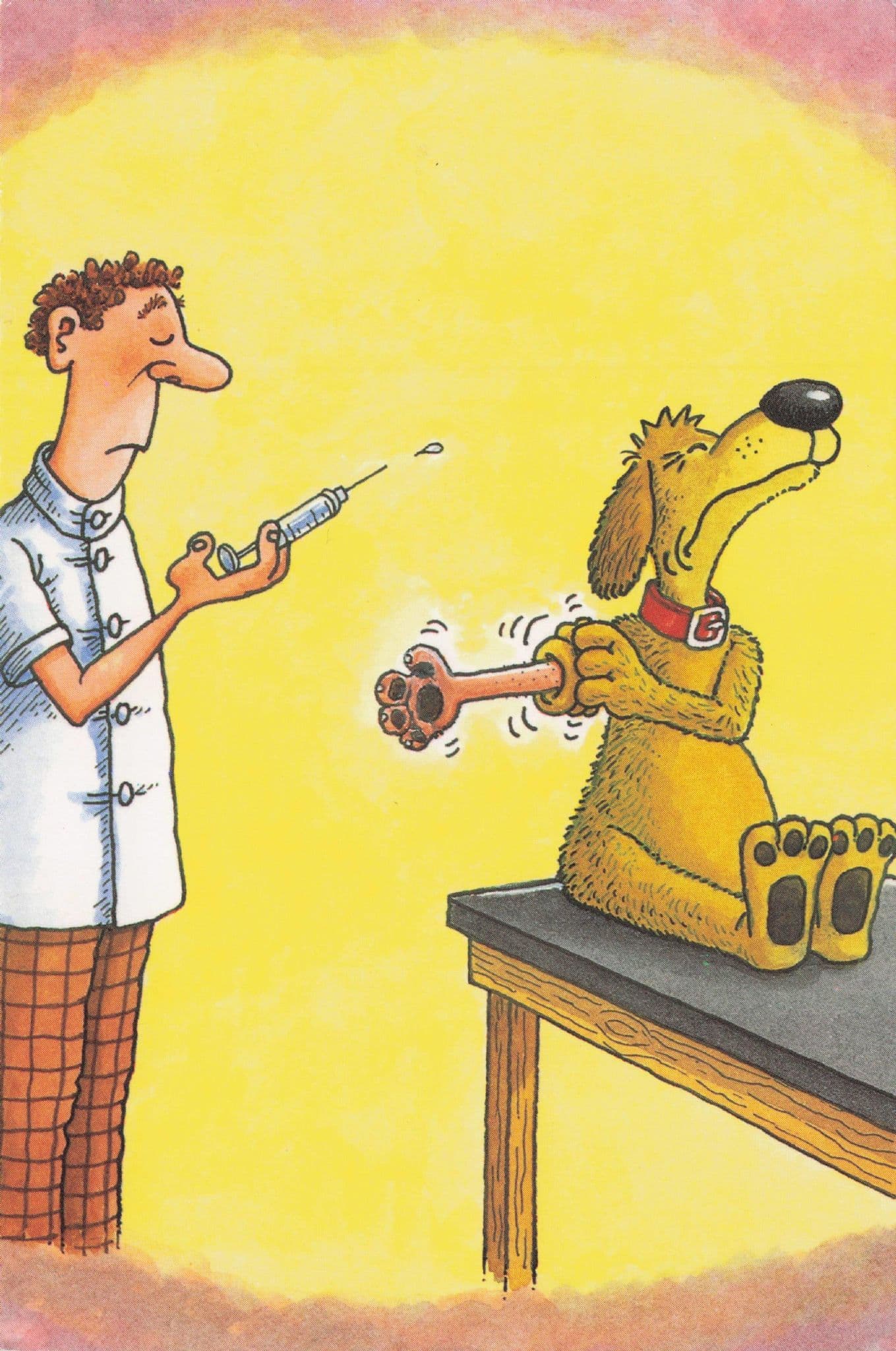 Dog in Vets Surgery Injection Animal Doctor Comic Postcard