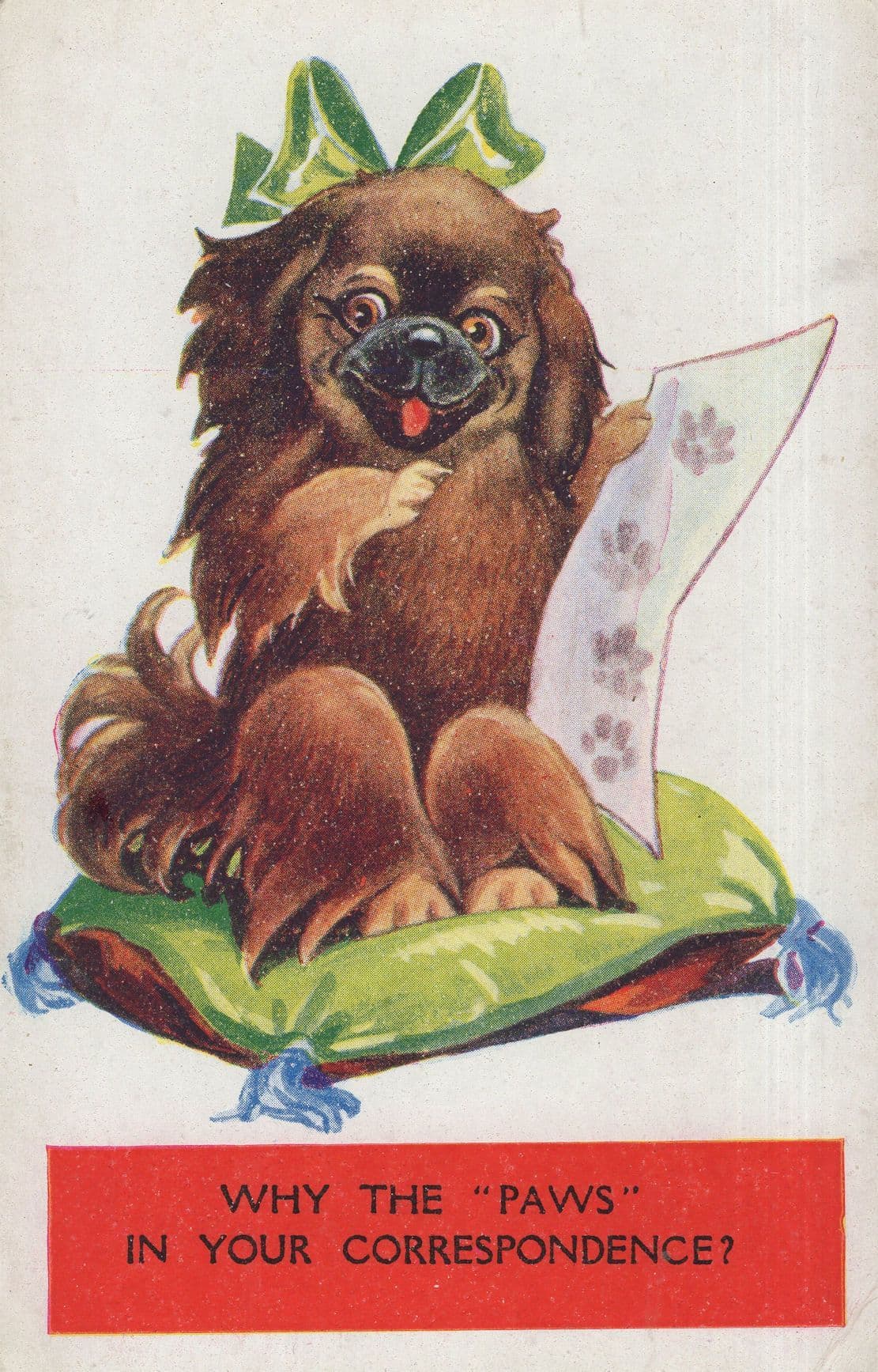 Dog Pause Paws in Correpondence Antique Comic Dogs Postcrd