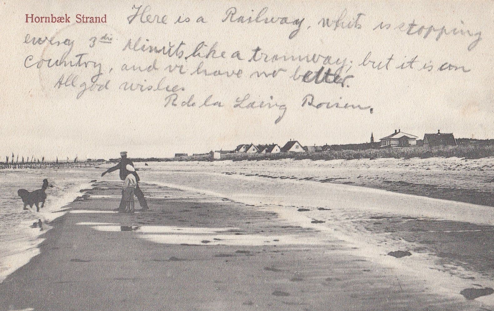 Dog Playing Fetch at Hornbaek Strad Denmark Old Postcard