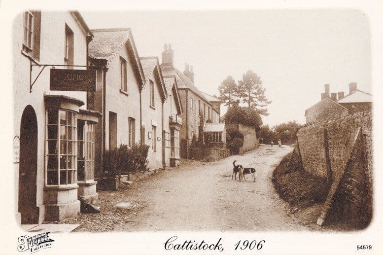 Dogs Playing in Cattistock 1906 Dorset Postcard
