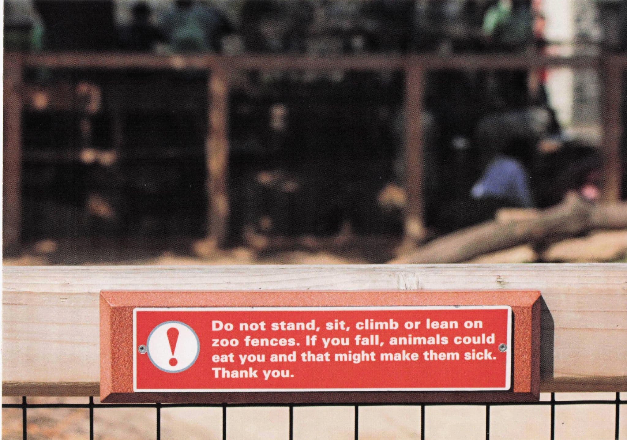 Don't Let Animals Be Sick Eating You Dublin Zoo Irish Comic Sign Postcard