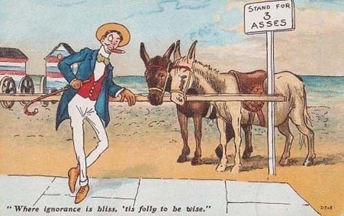 Donkey Pony Rides Horse Owner Ass Asses Ignorance Is Bliss Comic Humour Postcard