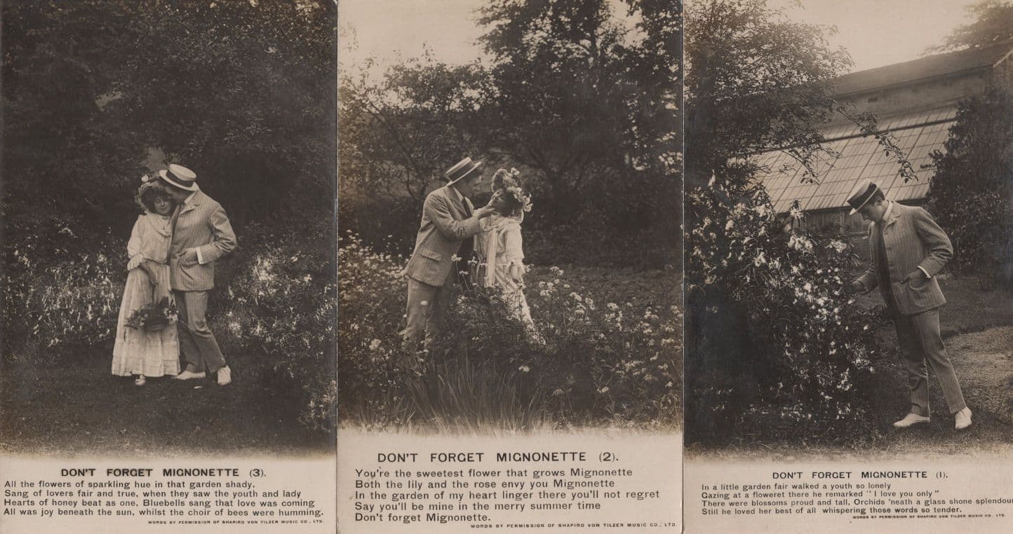 Dont Forget Mignonette 3x Songcard Old Postcard s