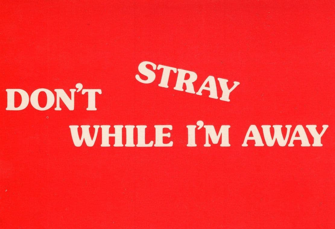 Dont Stray While I'm Away Love Adultery Two Timing Slogan Comic Postcard