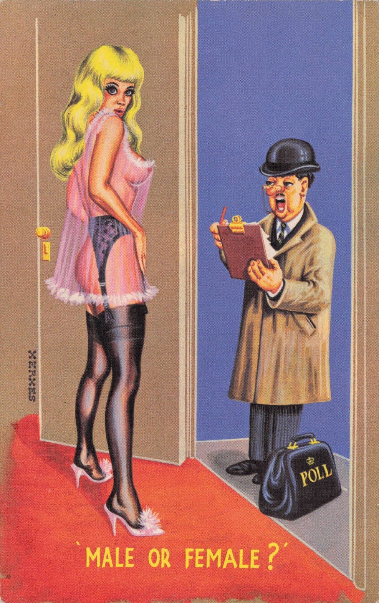 Door Canvasser For Polling Elections Asking Sex 1950s Comic Postcard