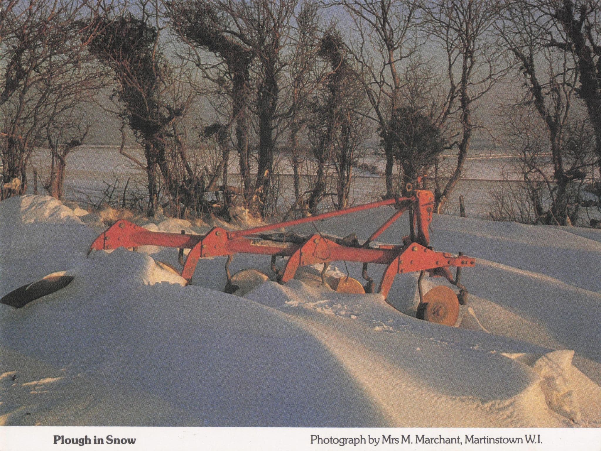 Dorset Plough Stuck In Disaster Snow Weather Women's Institute Postcard