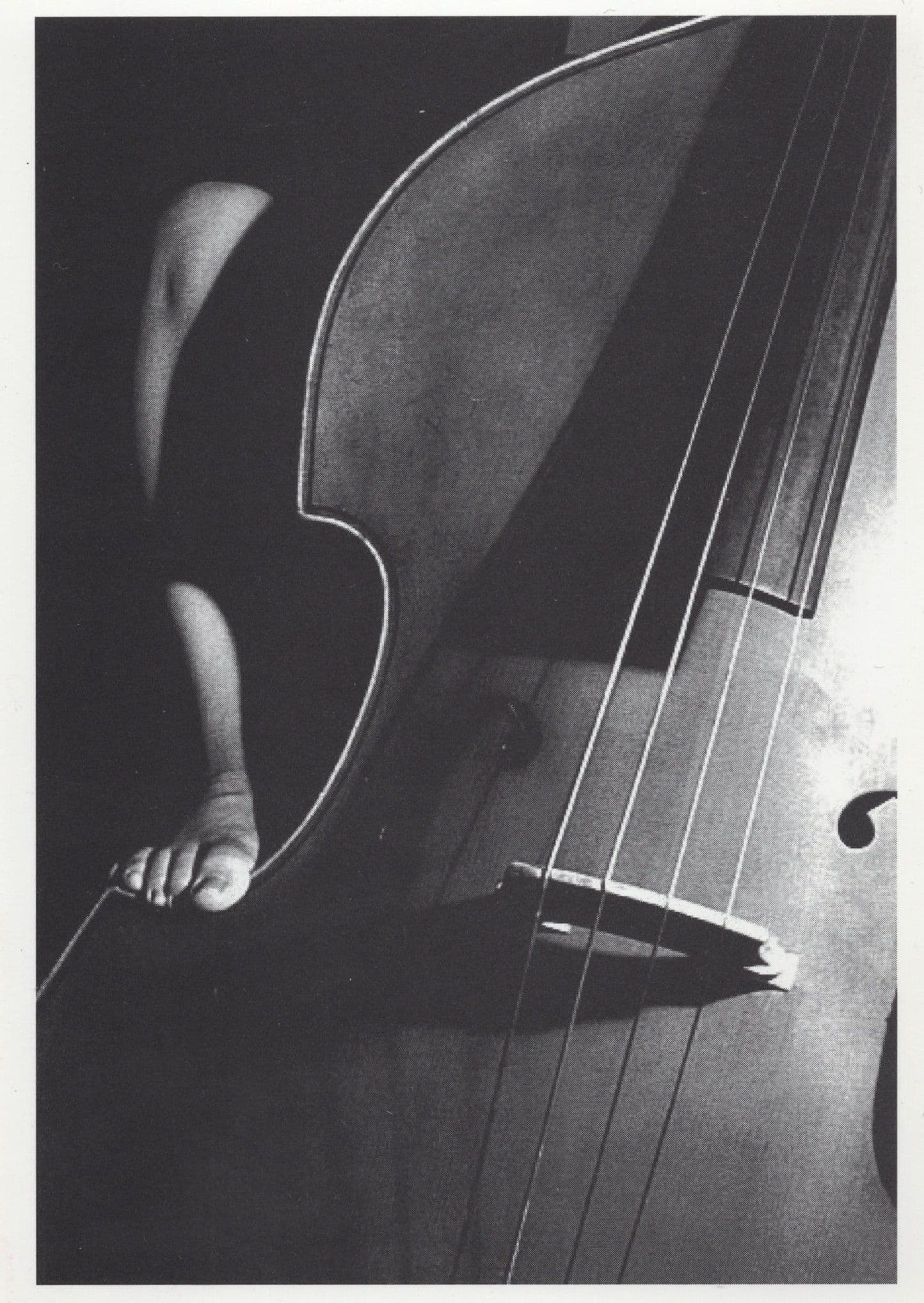 Double Bass Cello Patrick Suskind 1980s German Embassy London Lecture Postcard