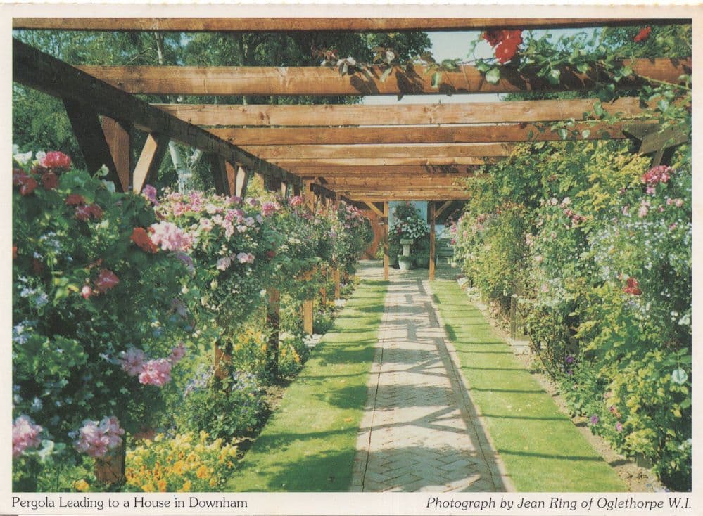 Downham Near Chelmsford Essex Pagoda Postcard