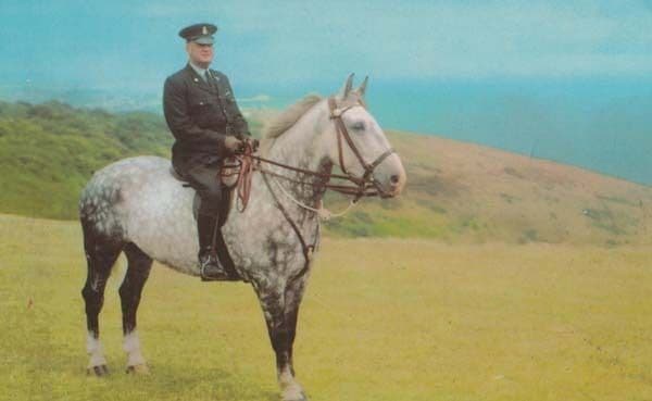 Downs Ranger Eastbourne Rare 1970s Mounted Warden Sussex Postcard